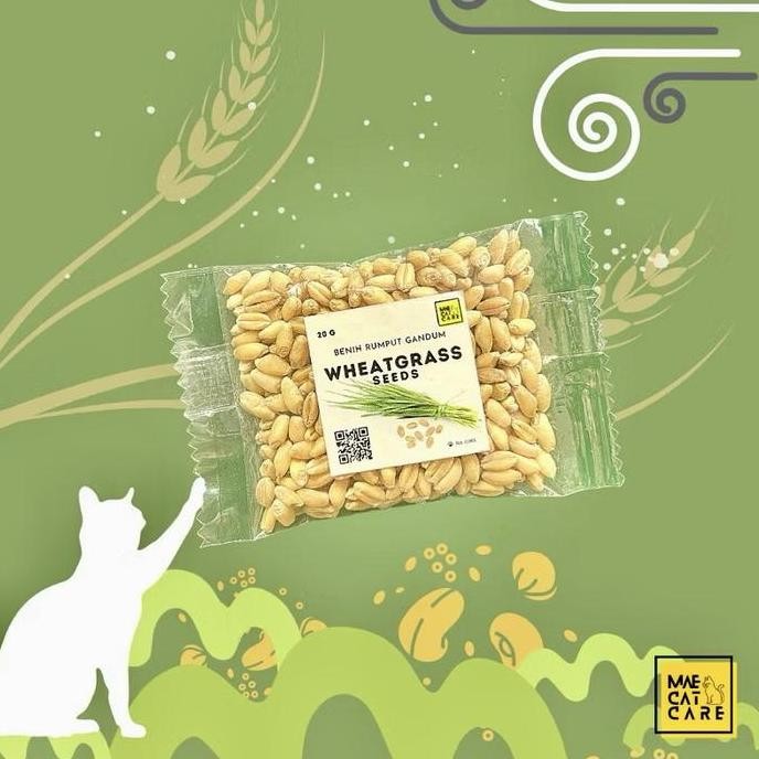 

Terlaris Wheatgrass Seeds For Cats (20G) Benih Rumput Gandum - Snack Kucing