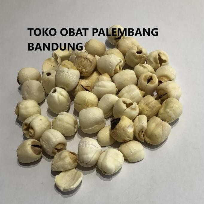 

BIJI TERATAI 100GRAM LIEN CE LIEN CI LIAN CI WHITE LOTUS SEED LIENZHE TERMURAH