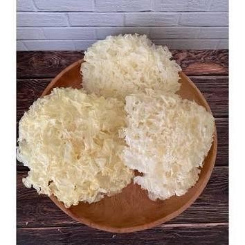 

Produk Baru!! Jamur Salju Putih Repack 20gr - Baik untuk Kesehatan Paru - Food, Selai, Powder, Mushroom, Maryam, Frozen, Etawa, Lezat, Sirup, Garing