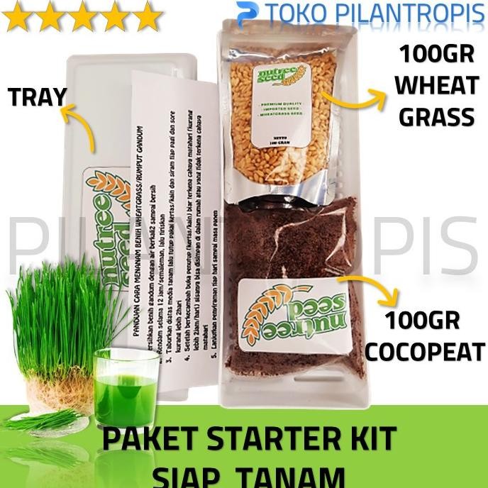 

Terlaris Yready Paket Lengkap Ter Kit Benih Wheatgrass Rumput Gandum Kucing