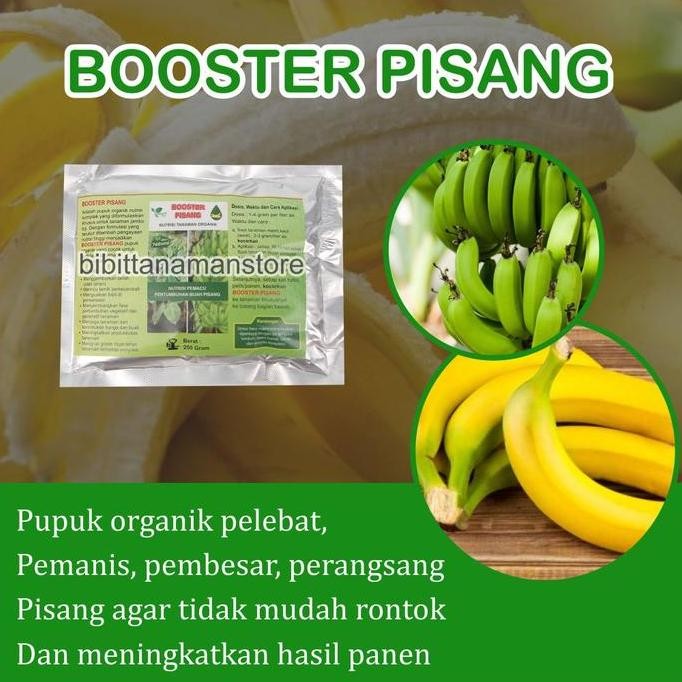 

Pupuk Organik Pelebat Buah dan Booster Pisang Cepat Berbuah Lebat