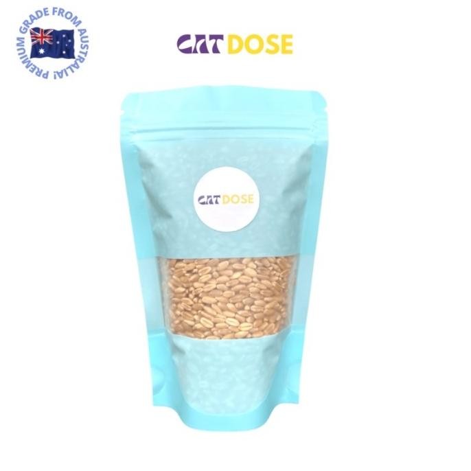 

Terlaris Benih / Biji Gandum Wheatgrass Catgrass Rumput Kucing Go Kadqfx 7067Fa