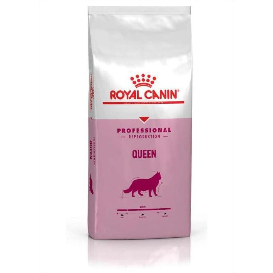 BEBAS ONGKIR - Royal Canin Pro Queen 4KG Professional Makanan Kucing Hamil Menyusui