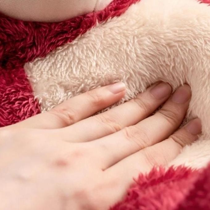 Boneka Lotso Original MINISO - Lotso Strawberry Plush Toy