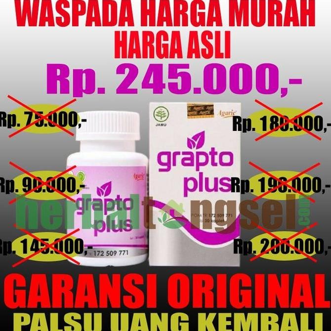 GRAPTO PLUS OBAT WASIR AMBEIEN ORIGINAL GRAPTO PLUS ORIGINAL BPOM