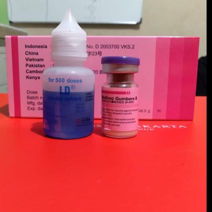 Vaksin Gumboro B Dosis 500 Mencegah Penyakit Gumboro pada ayam