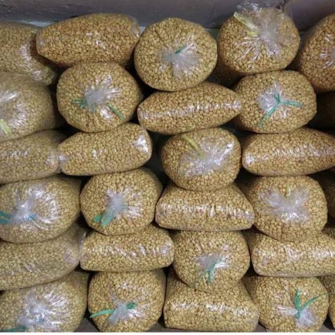 

Sale Kacang Bogor Jumbo Oven 500 Gram