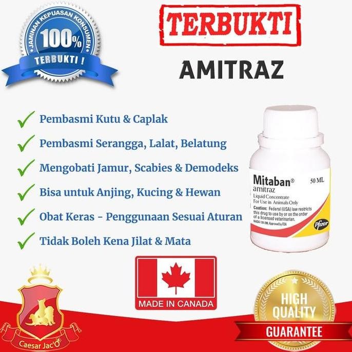Amitraz Amitras Obat Kutu Scabies Demodeks Jar Anjing Kucing