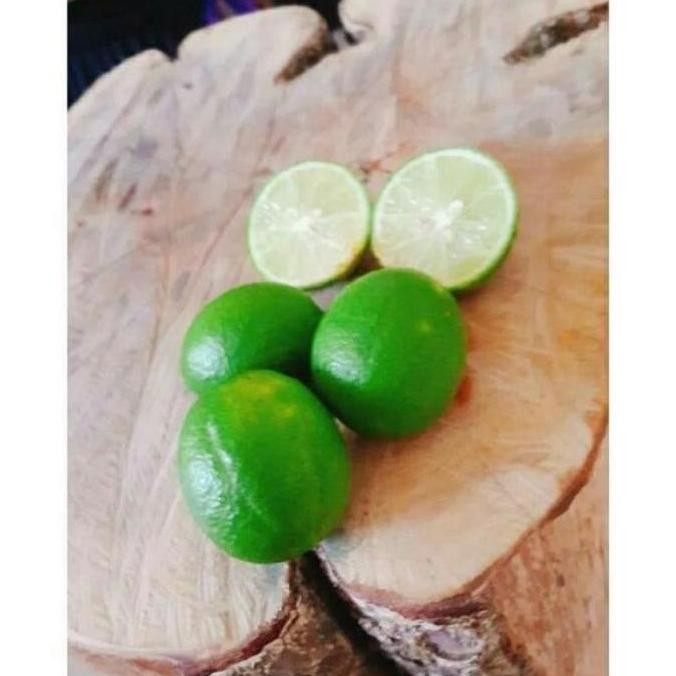 

Terlaris Pohon Baru Datang Bibit Tanaman Buah Jeruk Nipis Okulasi Cepat Berbuah Atz