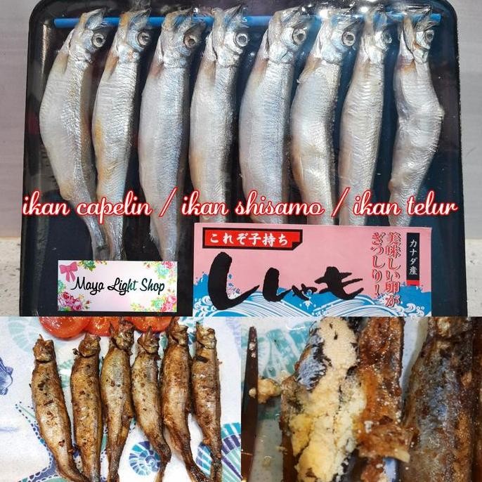 

Terlaris Ikan Telur Shisamo Capelin Fish Ikan Halal Egg Fish Omega Vitamin