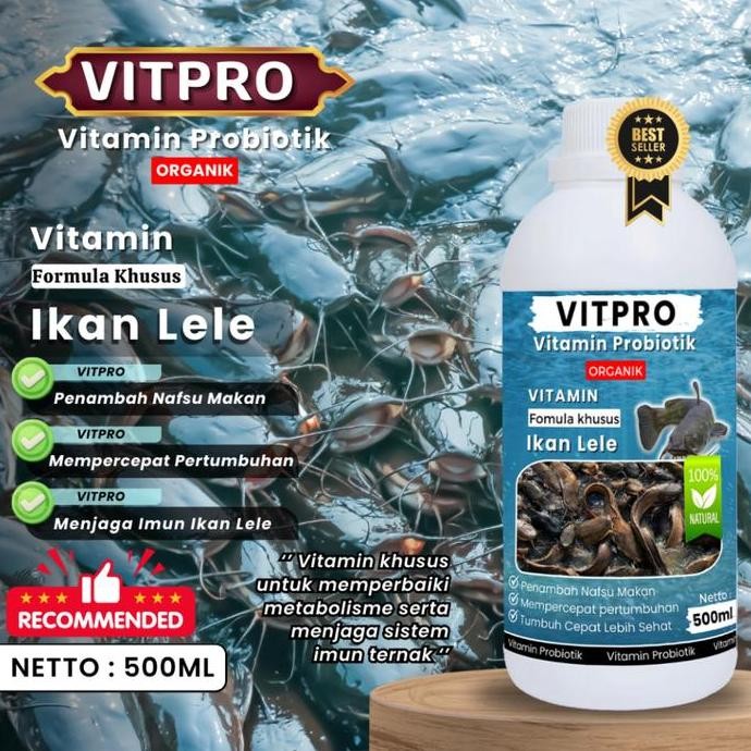 

Terlaris Cod Terlaris Vitpro Ikan Lele, Vitamin Ikan Lele Agar Cepat Besar 500 Ml Probiotik Pemacu Pertumbuhan Ikan Lele Vitamin Pemacu Tumbuh Besar Dan Menjaga Kesehatan Ikan Lele Dari Jamur Dan Lainya