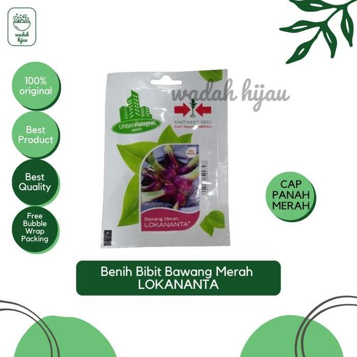 

Terlaris Benih Bibit Tanaman Sayuran Bawang Merah Lokananta Cap Panah Merah Best Seller