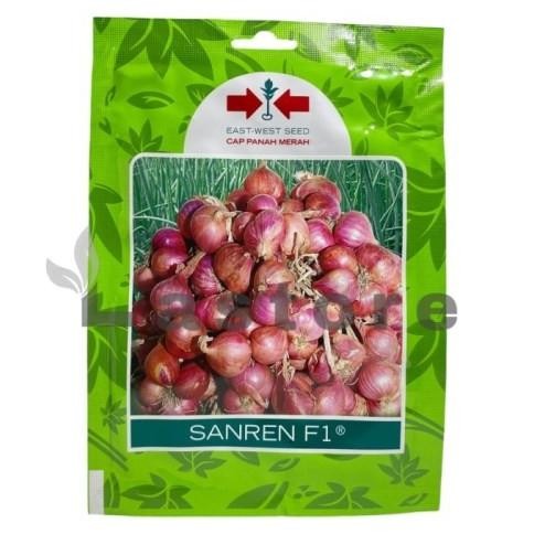 

Terlaris New Benih Bibit Bawang Merah Sanren F1 Cap Panah