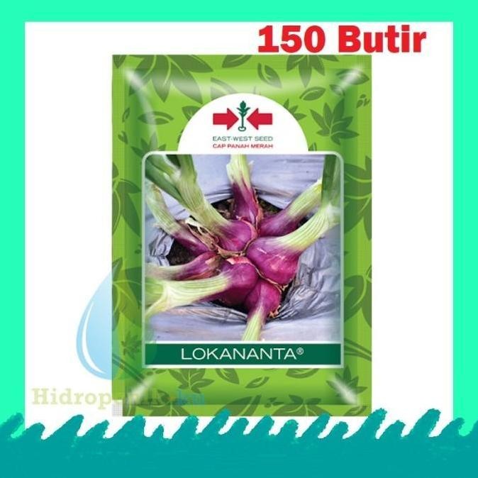 

Terlaris Benih/ Bibit Bawang Merah 150 Biji Lokananta F1 Hibrida Hidroponik Ku