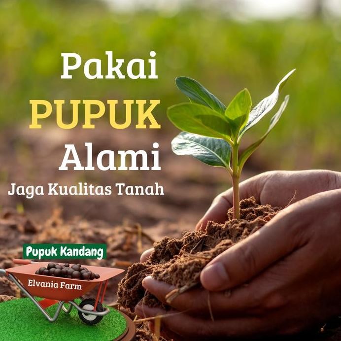 

Terlaris Pupuk Kandang Kotoran Hewan Kambing Media Tanam