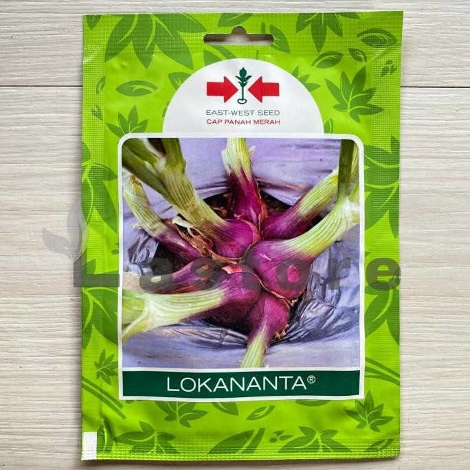 

Terlaris Um(1) Benih Bibit Bawang Merah Lokananta Cap Panah Merah