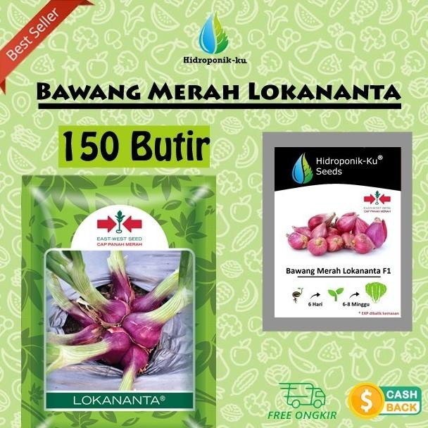 

Terlaris Benih/ Bibit Bawang Merah 15 Biji Lokananta F1 Hibrida Hoponik Ku