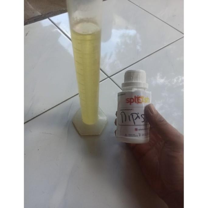 

Terlaris Bibit Parfum Jeruk Nipis 100 Ml Kcsqtu 7603Ks