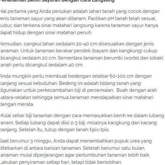 

Terlaris Bibit Bawang Merah/ Benih Sayuran