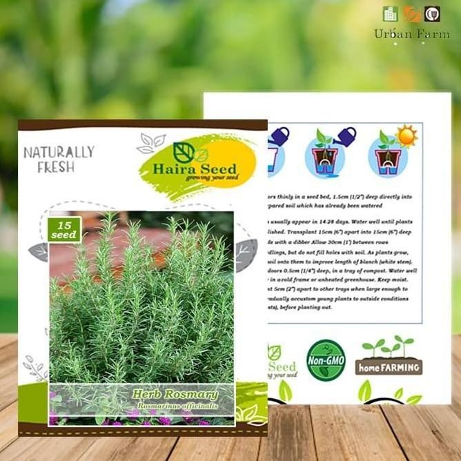

Terlaris Benih-Bibit Herba Rosemary (Haira Seed)
