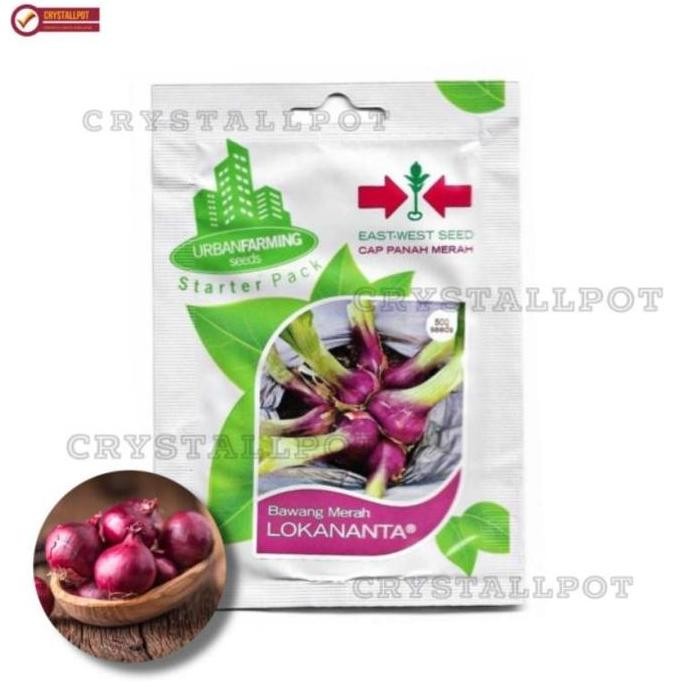

Terlaris Benih Bibit Bawang Merah Lokananta Cap Panah Merah - Lokananta