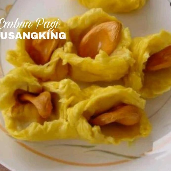 

Terlaris Bibit Pohon Durian Musangking Kaki 3 Biji Kempes Unggul Terjamin Kualitasnya