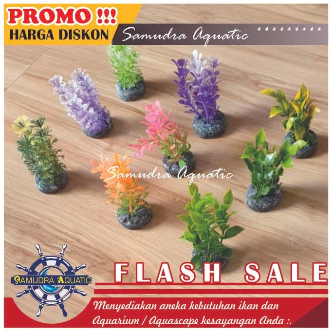 

Terlaris Grosir Tanaman Hias Aquarium Tanaman 4 Sisi (Campur), Hiasan Bunga Pla