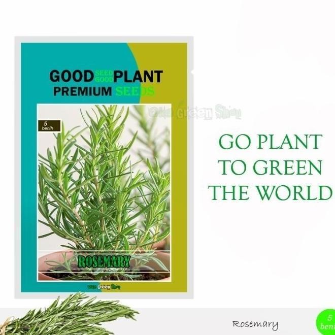 

Terlaris Benih Bibit Rosemary 5 Biji Tanaman Herbal Wangi