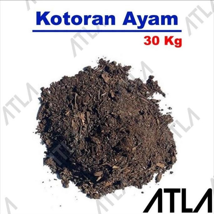 

Terlaris Terbaru Pupuk Kotoran Ayam Karung Media Tanam Kandang Organik Alami Karungan