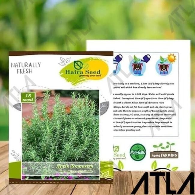 

Terlaris Murah Benih Herba Rosemary Bibit Tanaman Herbal Herb Isi 15 Biji Haira Seed