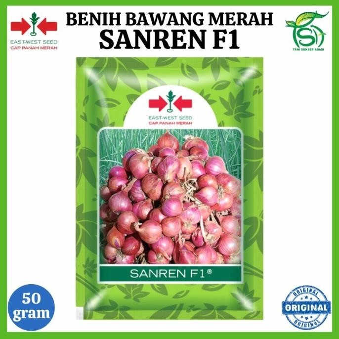 

Terlaris Benih Bawang Merah Sanren F1 (50 Gram) - Bibit Cap Panah Merah 50 Gr