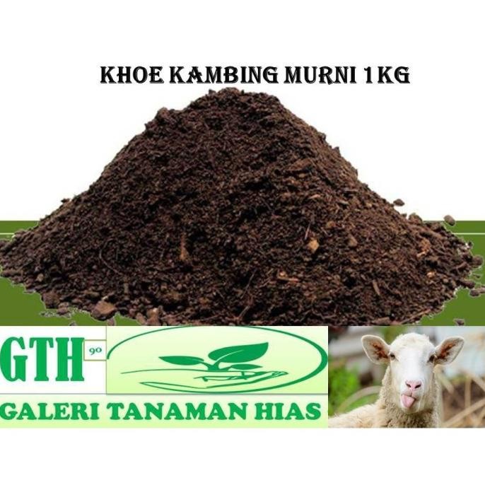 

Terlaris Pupuk Kandang Kambing Tanpa Campuran 1Kg -Khoe Kambing Murni Siap Pakai