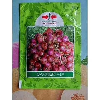 

Terlaris Bibit Benih Unggul Bawang Merah Hibrida Sanren F1 10Gr