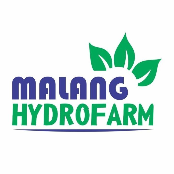 

Terlaris (-) Benih Daun Bawang Prei Blaze F1 50 Gram Cap Panah Merah Dataran Tinggi Bibit Sayur Sayuran Fragrant Hijau Pre Hydropoik Hidroponik