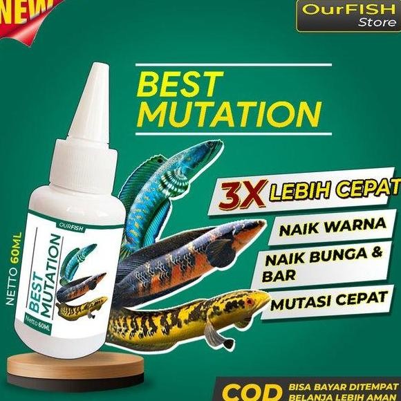 Terlaris Obat Mutasi Ikan Channa Best Mutation Vitamin Ikan Channa Maru Barca