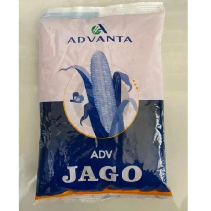 || BANANA / Benih bibit jagung advanta ADV jago 1 kg original 100% ||~~~