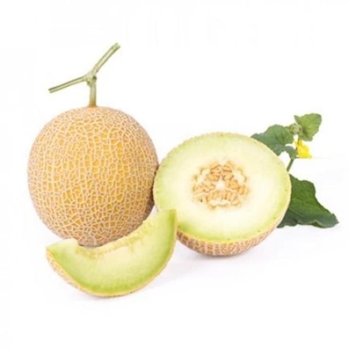 || BANANA / 100 Benih Bibit Biji Melon Inthanon Golden Hibrida Seeds Super Manis ||~~~