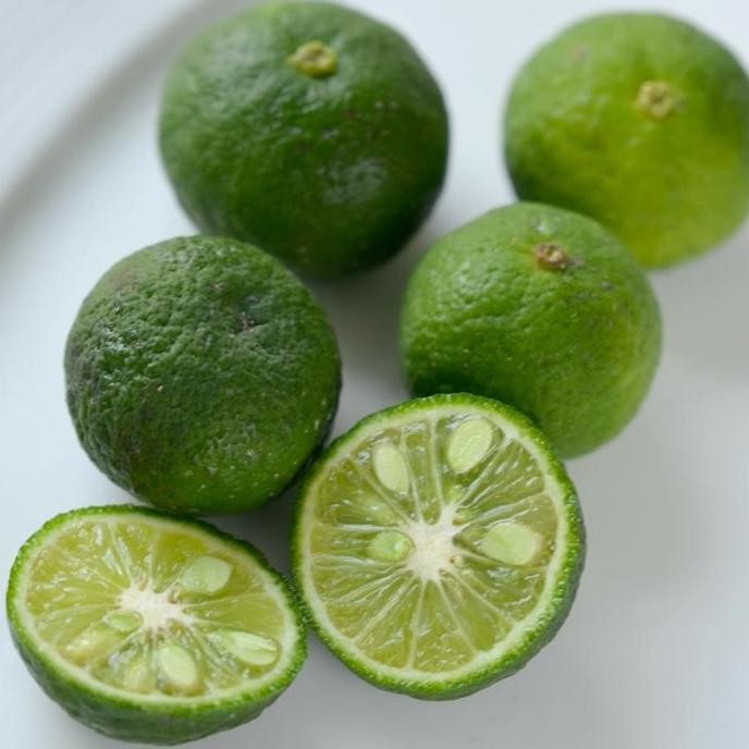 

Terlaris Bibit Jeruk Nipis