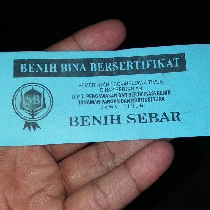 

Terlaris Bibit Bawang Merah Varietas Thailand Nganjuk