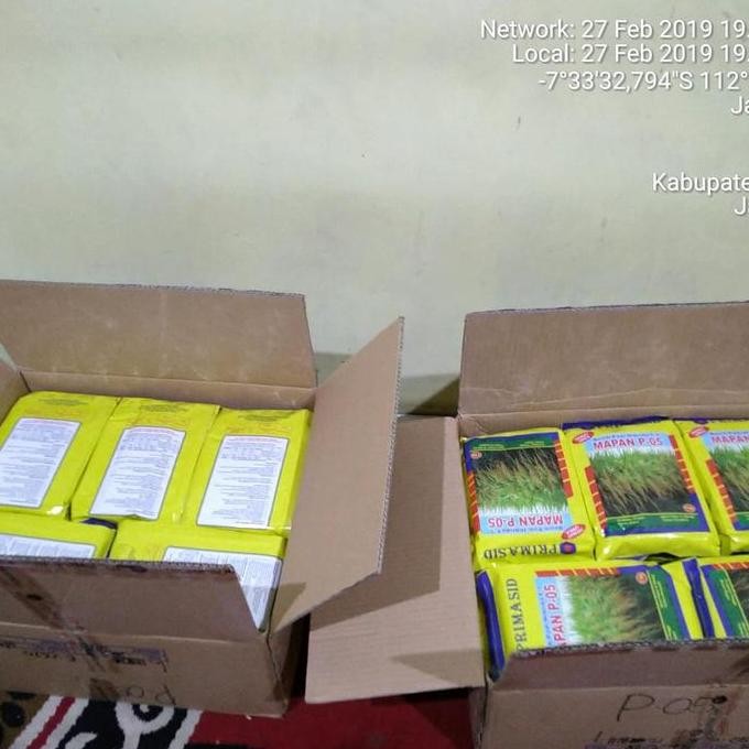 || BANANA / Benih padi mapan 05 ||~~~