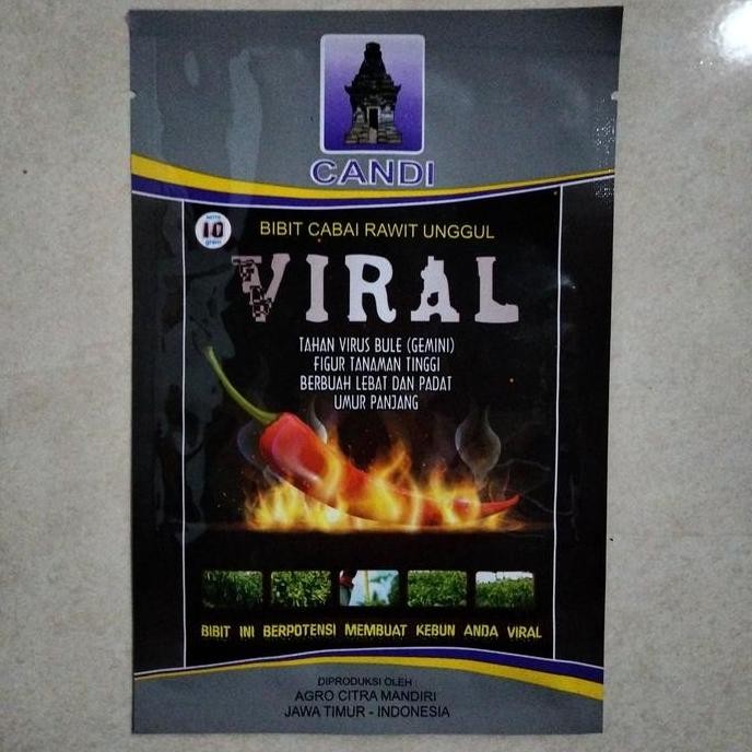 || BANANA / Bibit Cabe Rawit VIRAL 10gr - Benih Cabe VIRAL - Crm Ori 212 Kaliber ||~~~