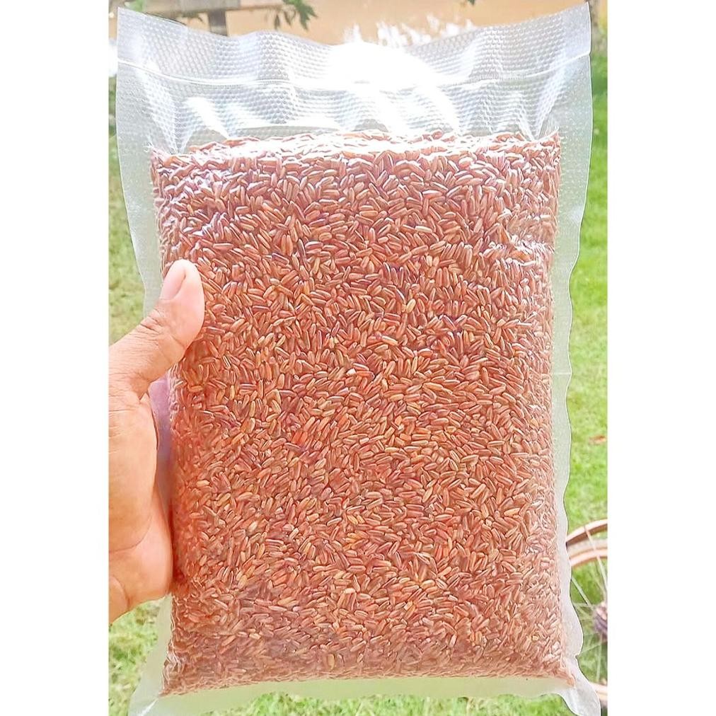 

BERAS MERAH KAMPUNG | UNTUK DIET DAN DIABETES | ASLI KALIMANTAN