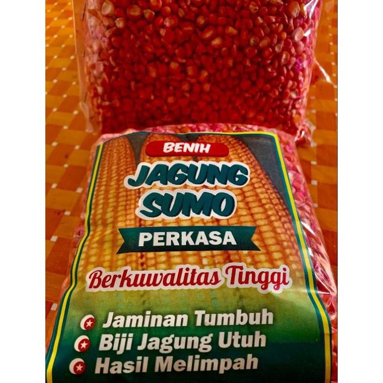 

BENIH JAGUNG SUMO PERKASA JAGUNG 1KG