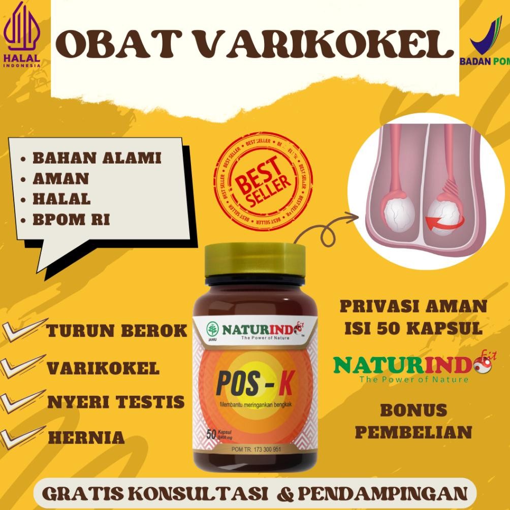 Obat hernia varikokel turun berok pria buah zakar bengkak nyeri testis skrotum posk bv flow naturind