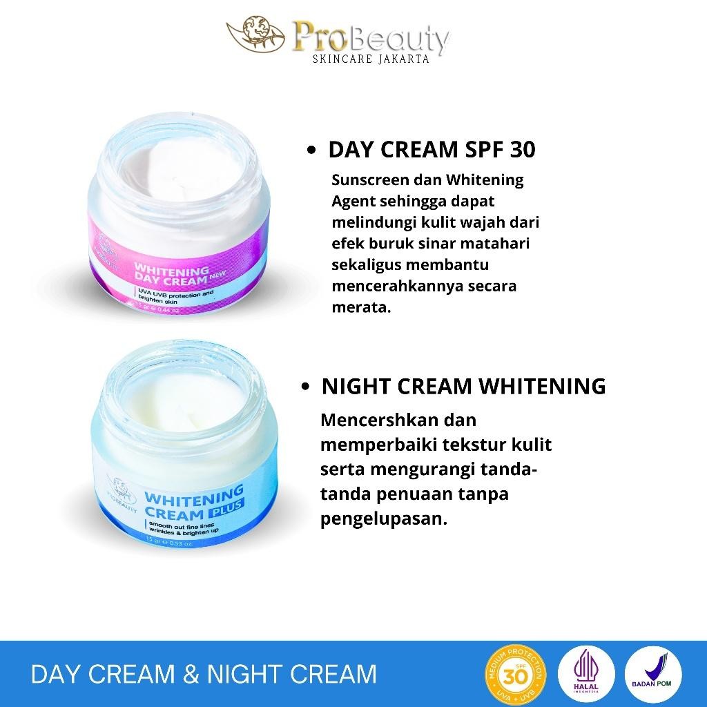 Probeauty Whitening Paket Skincare Day + Night Cream