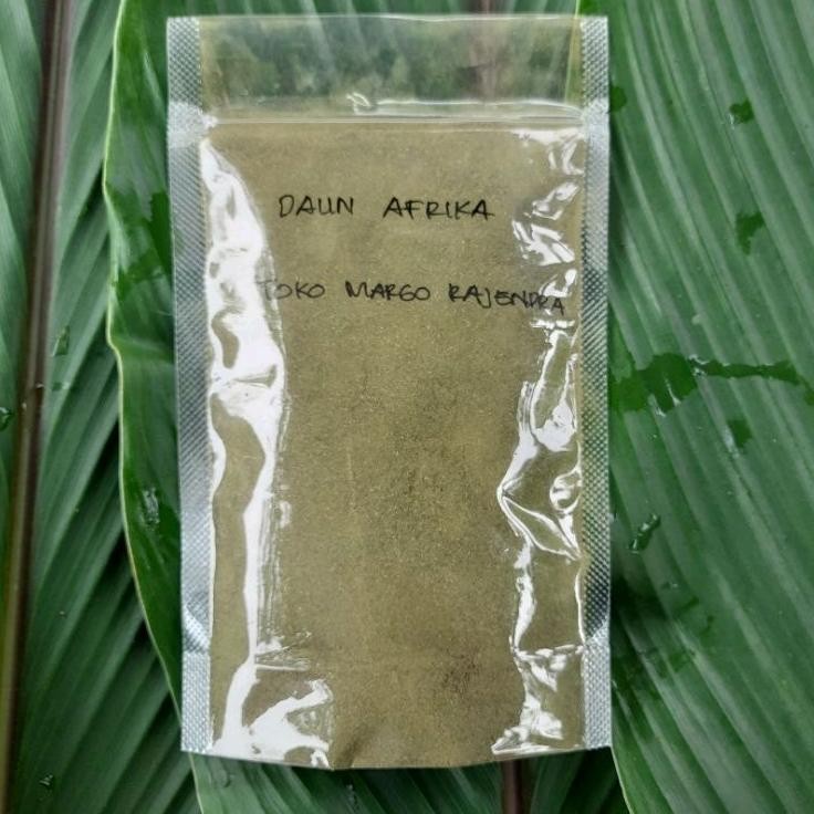 

Bubuk Daun Afrika Selatan / Sambung Nyawa isi 100 Gram