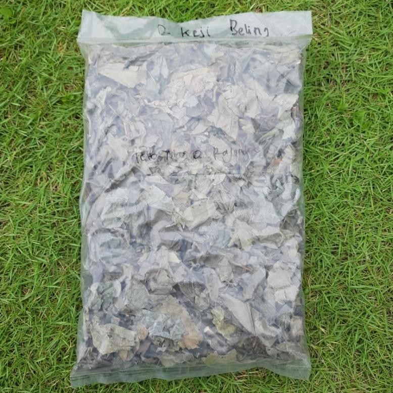 

Daun Keji Beling Kering 250 Gram Geji Pecah