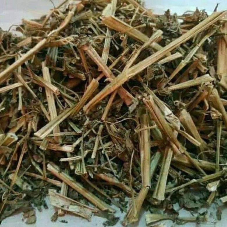 

Daun Batang Ciplukan 50 Gram Cecenet Cecendet Ceplukan kering