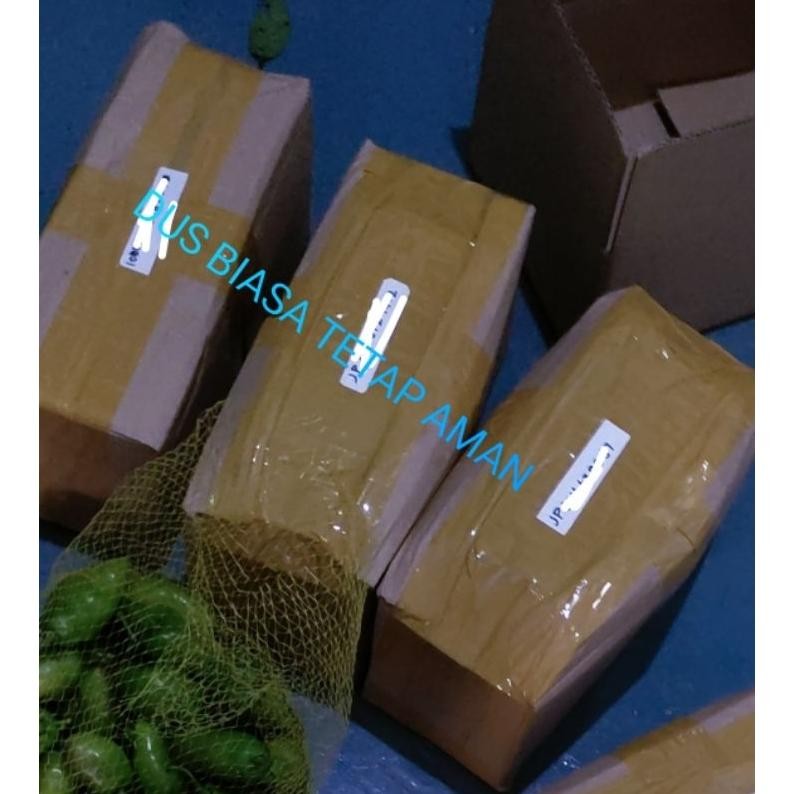 

Elegan Cabai Gendot Khas Kota Garut Berat 1 Kg