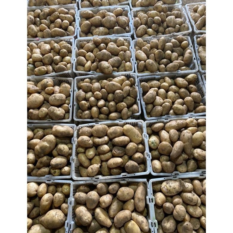 

Promo Bulan Ini Kentang Dieng 1Kg